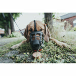 Last inn bildet i Gallery Viewer, V6H92C56AA703F47EF387C0C723D3422C4FR4389382P2
