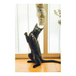 Last inn bildet i Gallery Viewer, V6HB9080D011CD058847431063879FAAA20R1792944P5
